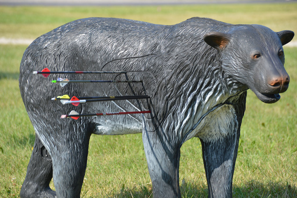 3D Bear Archery Target