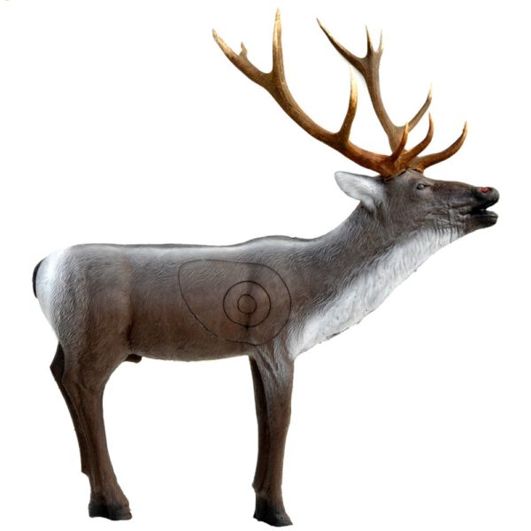 Red Stag Deer in the Roar