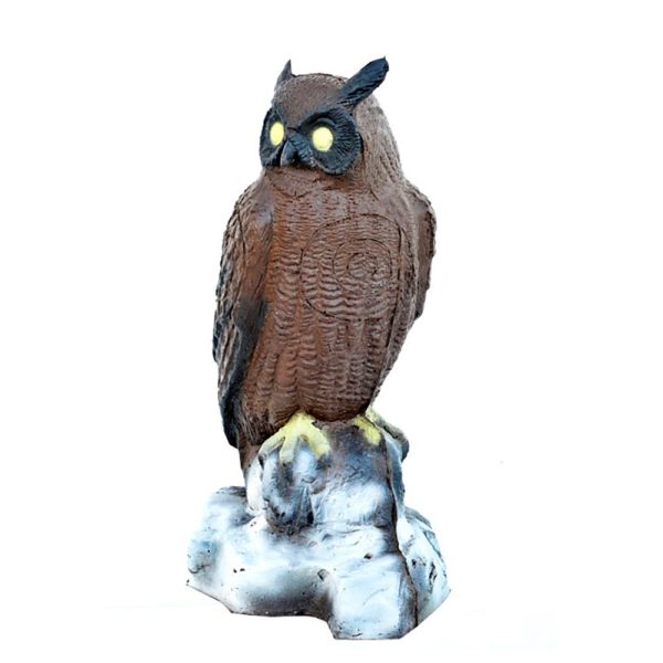 Perched Owl