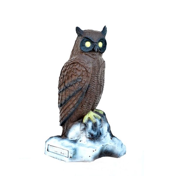 Perched Owl - Image 2