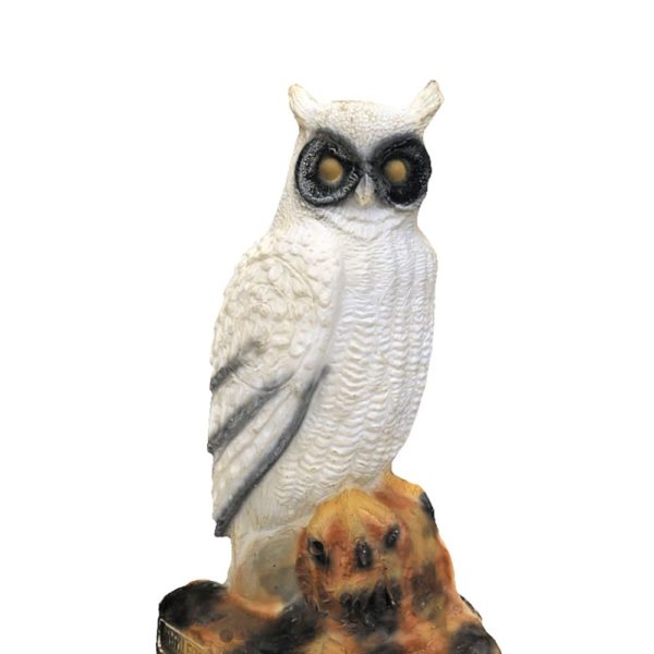 Snow Owl