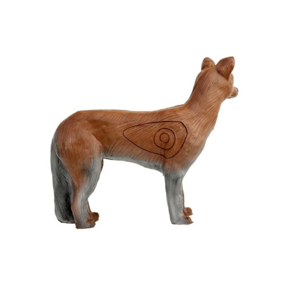 Coyote - Image 2