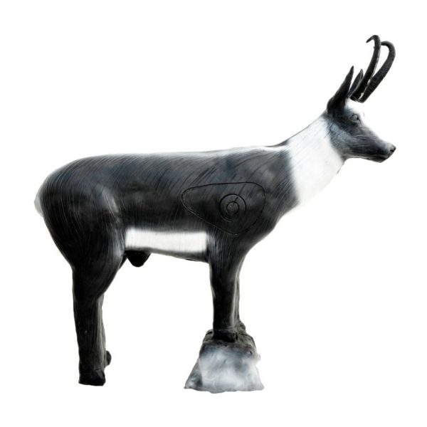 Chamois