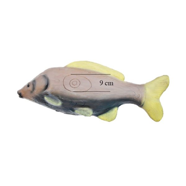 Carp
