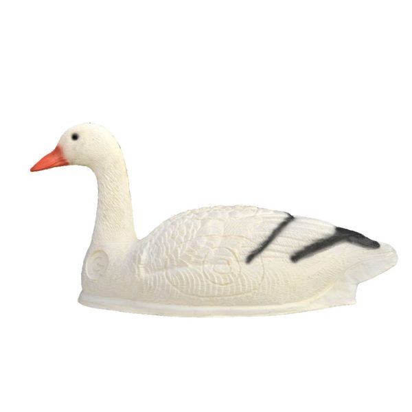 Swan