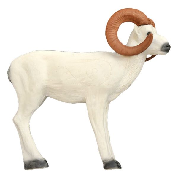 Standing Dall Sheep