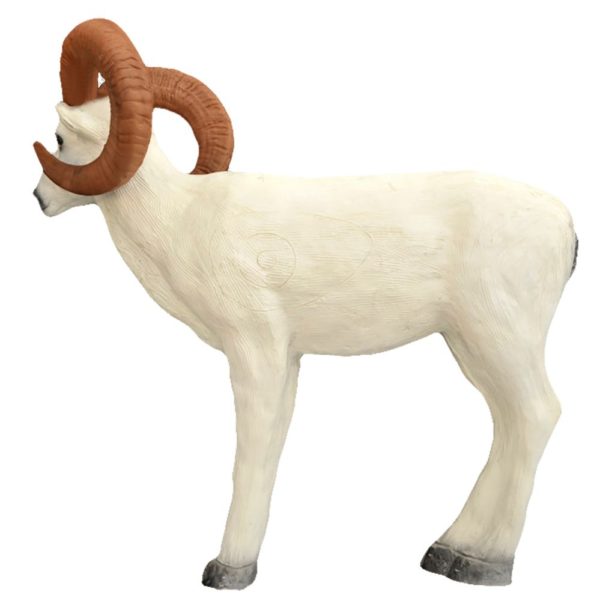 Standing Dall Sheep - Image 2