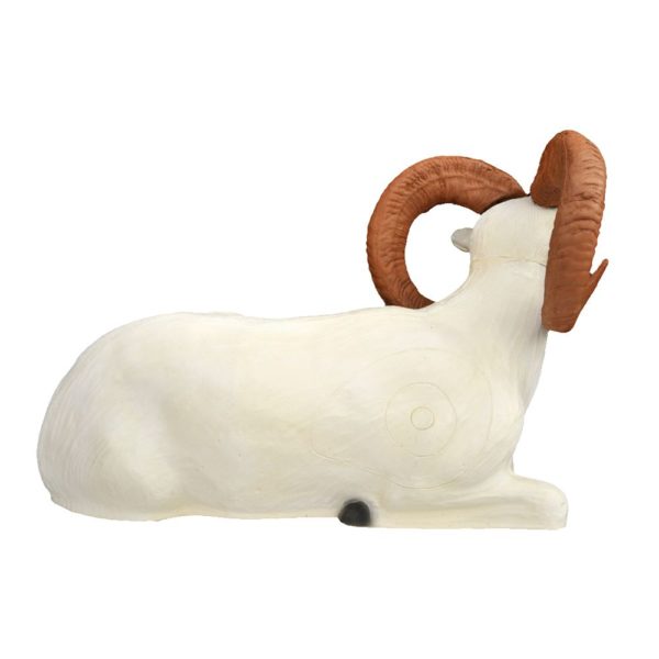 Bedded Dall Sheep - Image 2