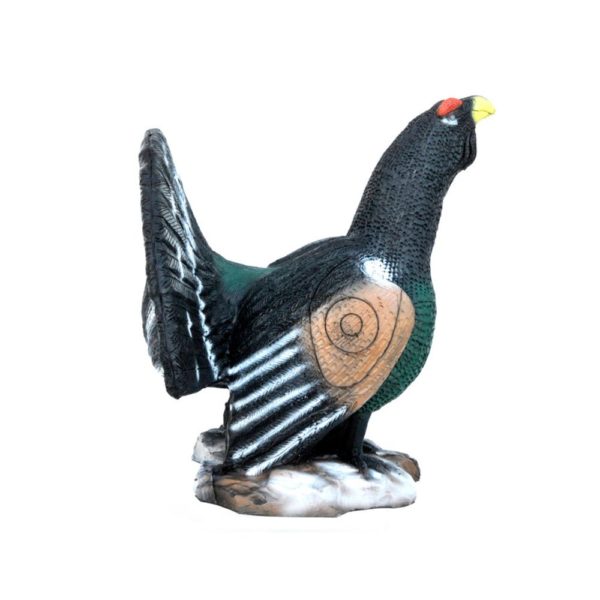 Capercaillie - Image 2