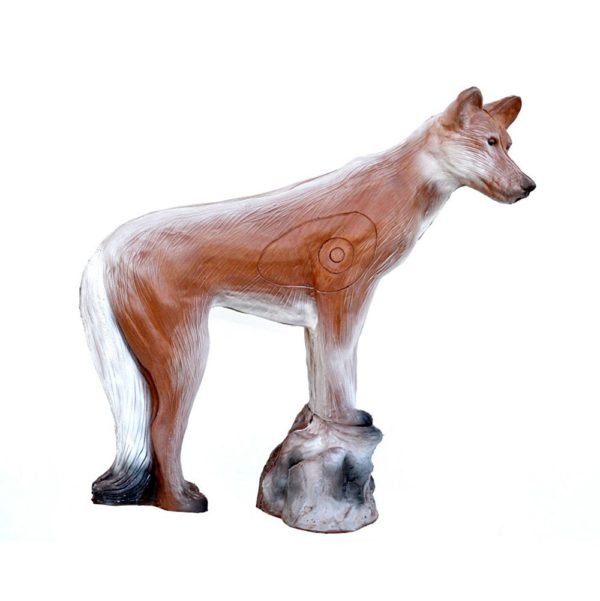 Dingo