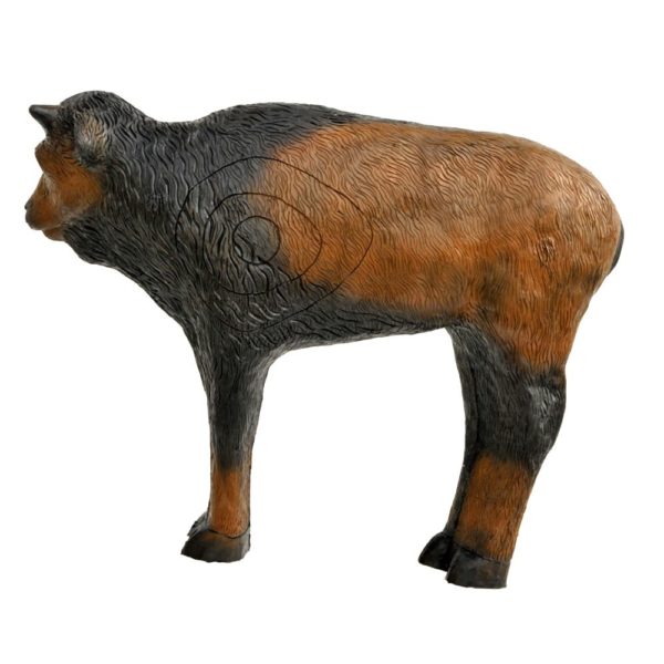 Bison Calf