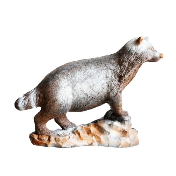 Running Raccoon Dog