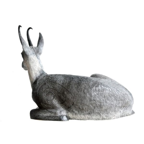Bedded Chamois - Image 2