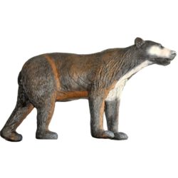 Walking Brown Bear