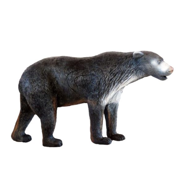 Walking Black Bear