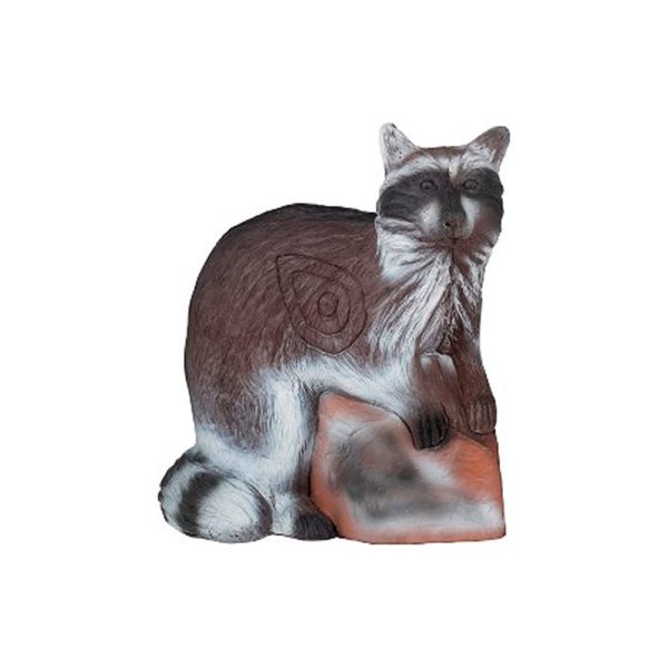 Raccoon