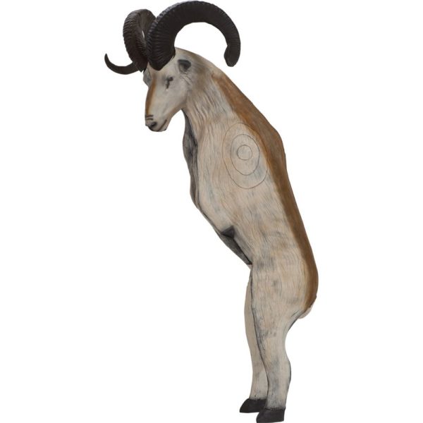 Marco Polo on hind legs