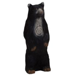 Small Black Bear