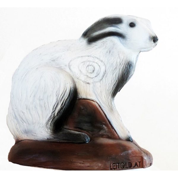 Sitting Alpine Hare