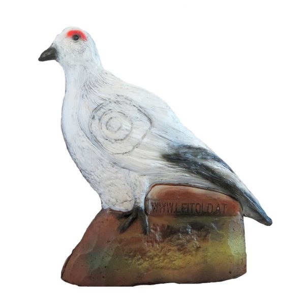 Snow Grouse