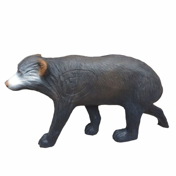 Small Black Bear walking