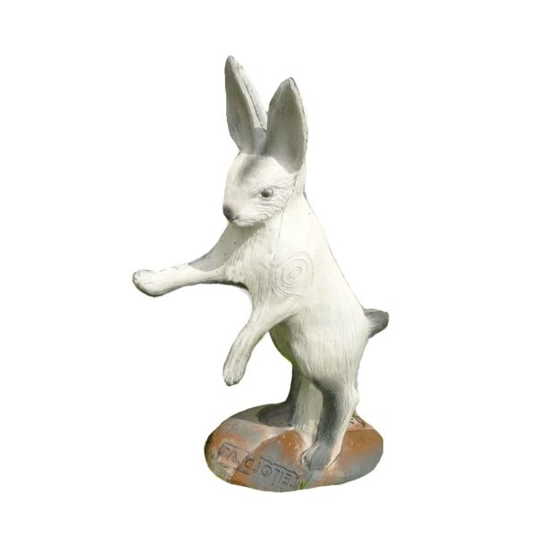 Alpine hare on hind legs