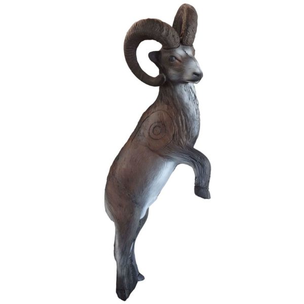 Stone Sheep on Hind Legs