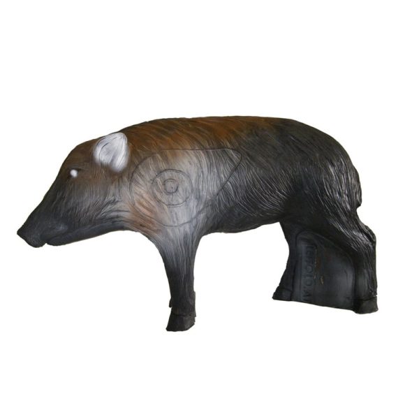 Young Wild Boar