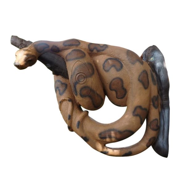 Boa constrictor brown