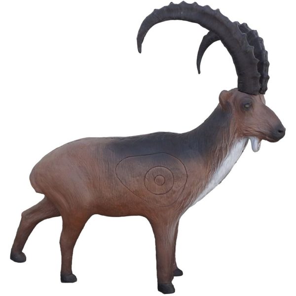 Alpine Ibex