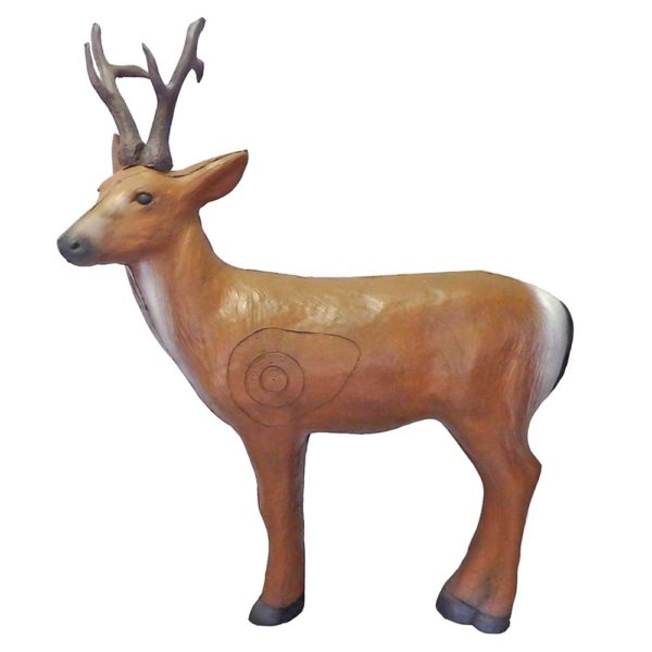 Siberian Roebuck Deer