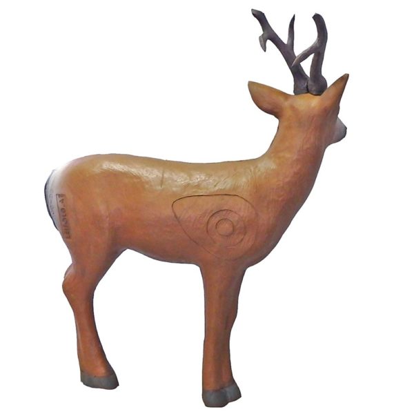 Siberian Roebuck Deer - Image 2