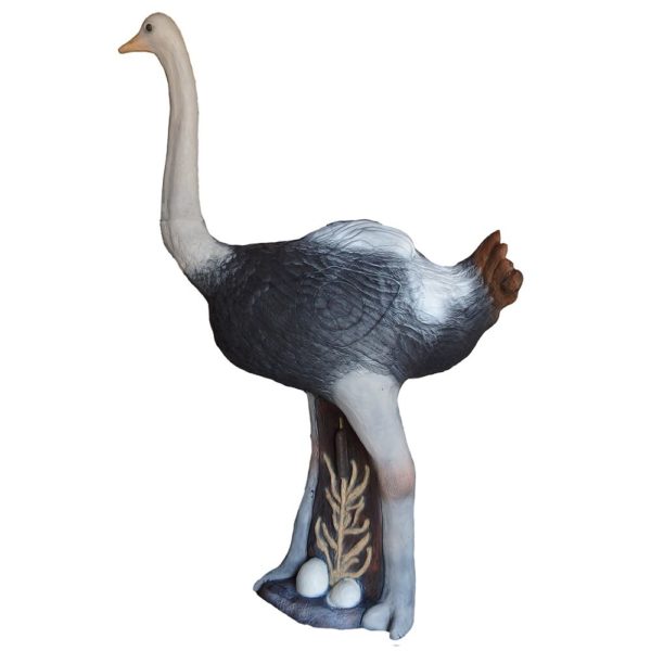 Ostrich - Image 2