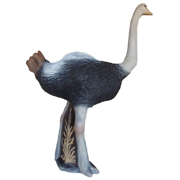 Ostrich