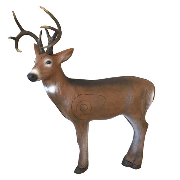The Whitetail Deer