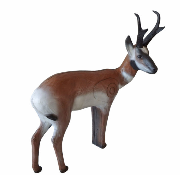 Pronghorn - Image 4