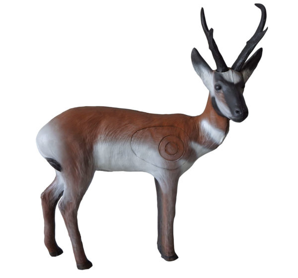 Pronghorn