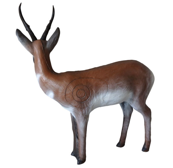 Pronghorn - Image 2