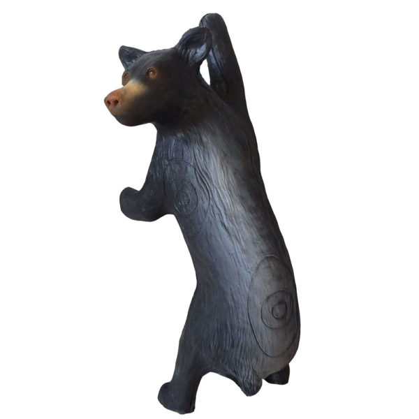 Small Climbing Black Bear