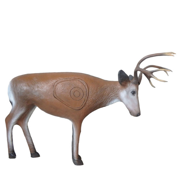 Fighting Mule Deer