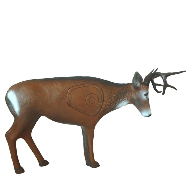 Fighting Whitetail Deer