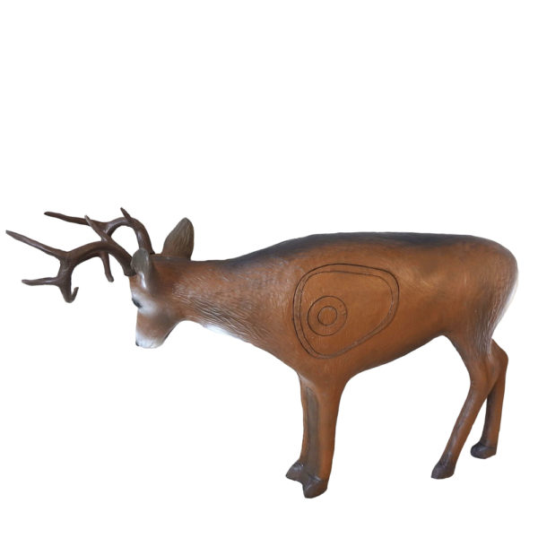 Fighting Whitetail Deer - Image 2