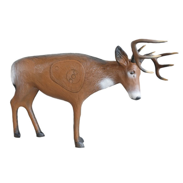 whitetail 3D Target