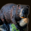 Zombeaver - Image 3